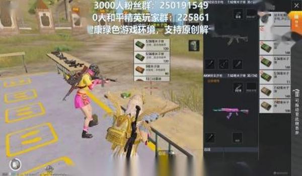 和平精英小魔姐压枪视频