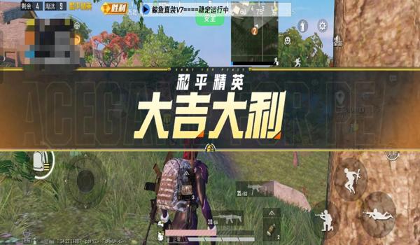 和平精英最稳定辅助软件 和平精英最稳定辅助软件