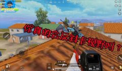 和平精英视野开阔辅助器