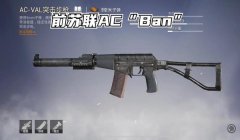 和平精英有什么辅助配件