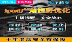 和平精英开陀螺仪压枪