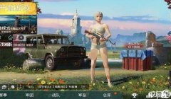 和平精英国际服ar辅助