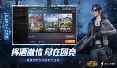 和平精英娜美辅助怎么样