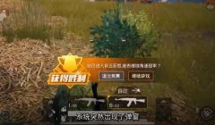 和平精英手游火焰鸟辅助