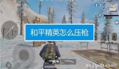 和平精英新模式压枪不稳