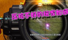 和平精英百米红点压枪秀