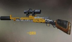 和平精英最酷的辅助武器