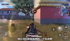 和平精英仙草辅助怎么玩