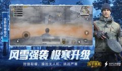 和平精英毒蛇辅助怎么用