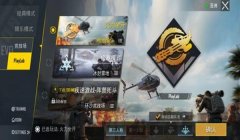 和平精英国际服辅助提卡