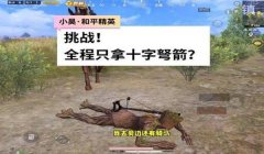 和平精英玩弩辅助怎么样