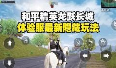 和平精英辅助隐藏教程视频