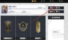 和平精英问号辅助器下载