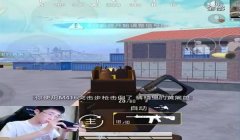 和平精英主播都有辅助器嘛