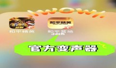 最好的和平精英辅助器