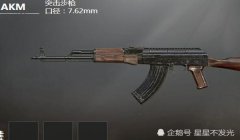和平精英压枪稳的步枪