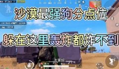 和平精英辅助狗子货源站