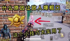 和平精英洋葱插件辅助破解