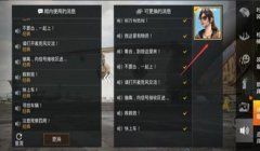 和平精英放大辅助怎么开
