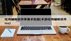 自瞄锁头辅助器和平精英
