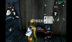 和平精英手游换装辅助器