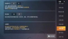 和平精英怎么开辅助教学