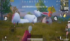 和平精英兔子辅助软件介绍