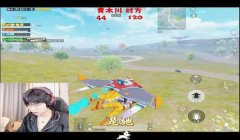 和平精英狗狗辅助怎么开