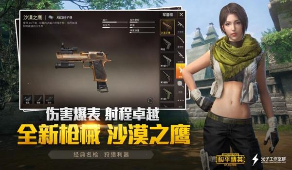 和平精英染色辅助最新版