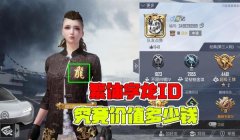 和平精英辅助id名字大全