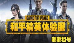 和平精英辅助卡盟网低价