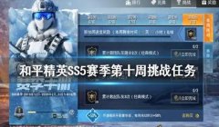 2020年和平精英ss5压枪