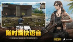 和平精英体验服直装辅助