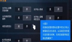 和平精英二级辅助怎么设置