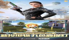 2021年和平精英辅助