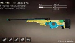 什么叫和平精英的辅助装备